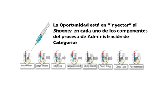 Injecting Shopper Image spanish.jpg