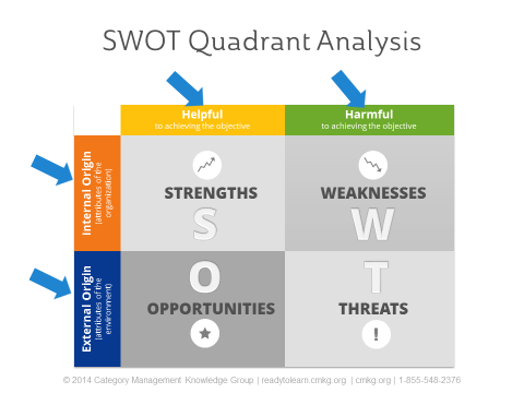 Using a SWOT Analysis In Your Category Assessment