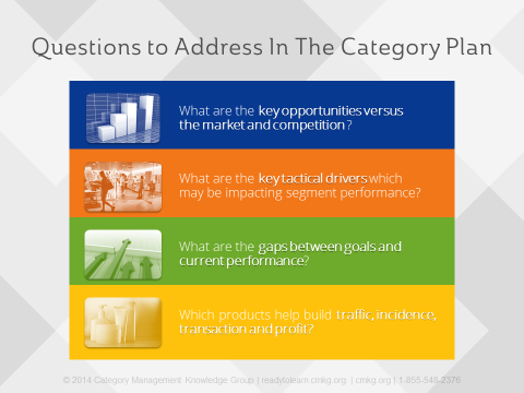 Questions to address in the category plan