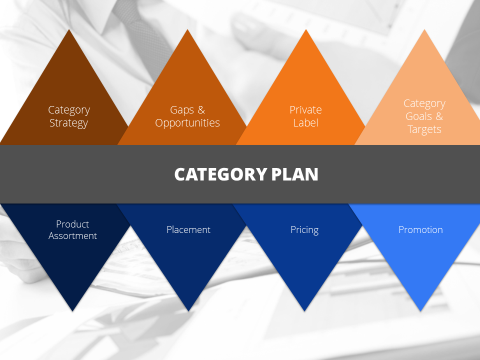 What to include in a category management plan